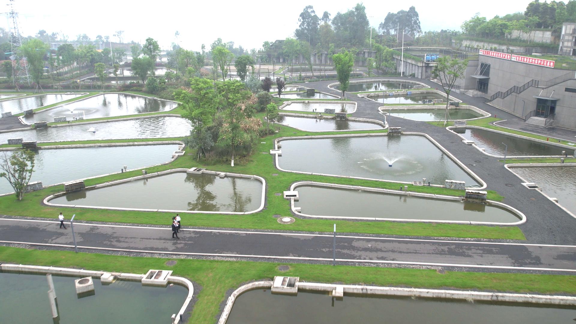 岷江鱼类增殖放流站:每年超130万尾鱼苗"落户"岷江